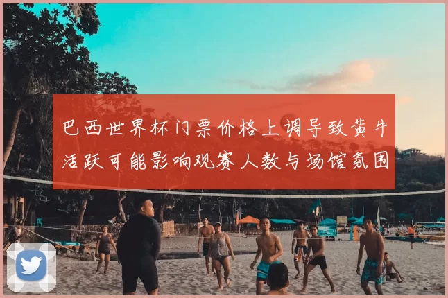 巴西世界杯门票价格上调导致黄牛活跃可能影响观赛人数与场馆氛围