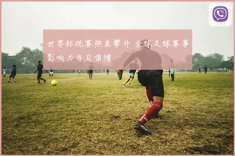 世界杯观赛热度攀升 全球足球赛事影响力与日俱增