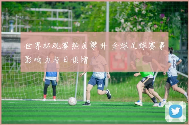 世界杯观赛热度攀升 全球足球赛事影响力与日俱增